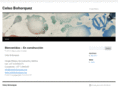celsobohorquez.com