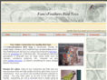 fancyfeathers.biz