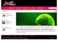 flamingovn.com