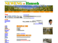 neweng.net