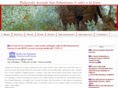 sansebastiano.org