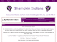 shamokinarea.com