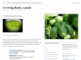 basilgardening.com