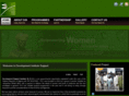 dsionline.org