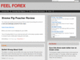 feelforex.com