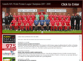 llanelliafc.org