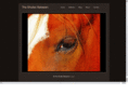 theshutterbetween.com