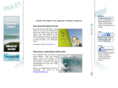 frostsurfboards.com