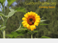 gardenthyme.org