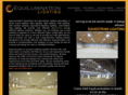 horsearenalighting.com