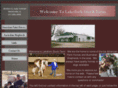 lakeforkstockfarm.com