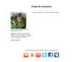 projectincarnation.com