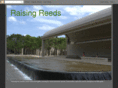 reedfam.org