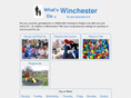 wintots.co.uk