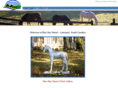blueskyranchsc.com
