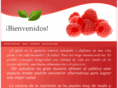 elbagonzalez.net