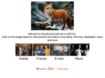 jeffreymfox.com