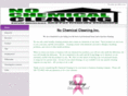 nochemicalcleaning.com