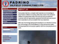 padrinoconsulting.com