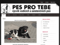 pesprotebe.com