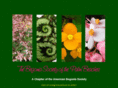 begoniasocietypbfl.org