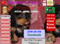 shalomkennels.net