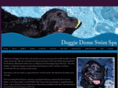 doggiedomeswimspa.com