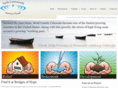faithnet.info