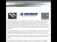 souheganlighting.com