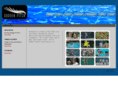 suddenpitch.com
