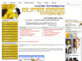 bumblebeeinternet.com