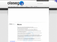 olasegnigltd.com