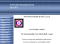weymouthbaberuthleague.com