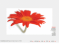 daisyweb.co.uk