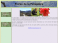 floresdelapatagonia.com