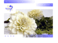 indigo-international.com