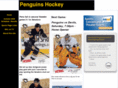 penguinsicehockey.com