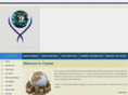 crystalwebsoft.com