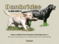danbridgekennels.com