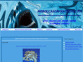 moroccansharksteeth.com