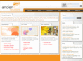 andensolutions.com