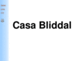 bliddal.com