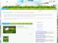 golfinreunion.net