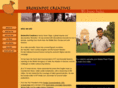 karansingh.info