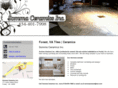 lynchburgtilecontractors.com