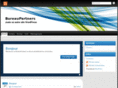 bureaupartners.com