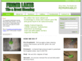 fingerlakestileandgroutcleaning.com