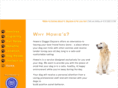 howiesdoggiedaycare.com