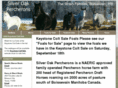 silveroakpercherons.com