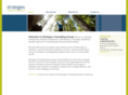 strategexconsulting.com